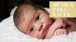 Música para nacer