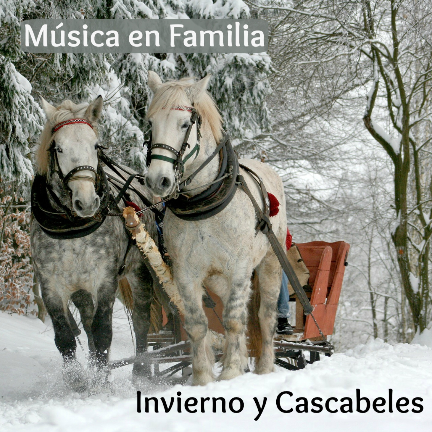 Música de Invierno. Música en Familia #3
